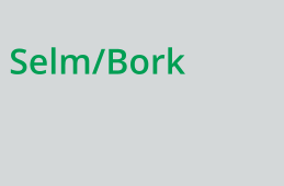 Selm/Bork