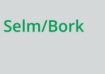 Selm/Bork