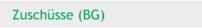 Zuschüsse (BG)